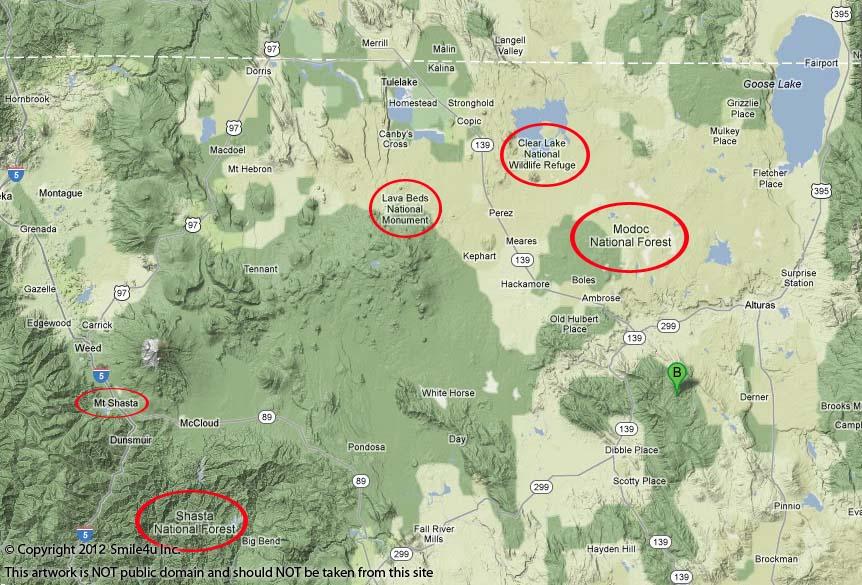 California Pines Property For Sale